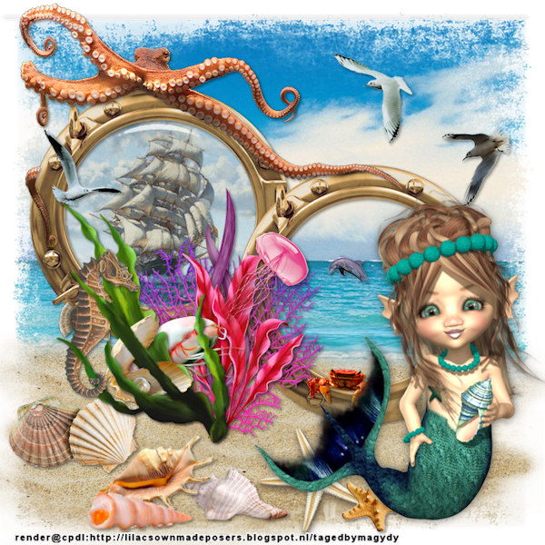 psp lessen mistys-creations.nl